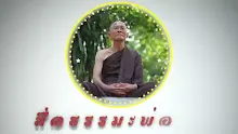 ตอน ความเห็นต่างแบบสัมมาทิฏฐิกับแบบมิจฉาทิฏฐิ (สื่อธรรมะพ่อครู).mp4