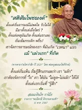 สติสัมโพชฌงค์ เวทนาแรกที่เกิด ส.ดินไท.png