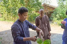 680202 สสธ.ม.3 ฝึกหัดเพาะชำต้นไม้แบบควบแน่น ไปสวนไวพลัง 113.jpg