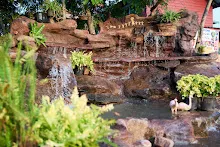 680220 พิธีเปิดสวนครอบครัวน่ารัก บ้านราช 37.jpg