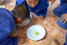671228 สมุนพระรามเข้าค่าย เรียนการปรับปรุงพันธุ์พุทธรักษา เล่นเกมกินวิบาก พาทัวร์รถราง 168.jpg