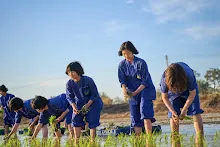 680111 กิจกรรมดำนาวันเด็กแห่งชาติ ของนร.สสธ.และสมุนพระราม 48.jpg