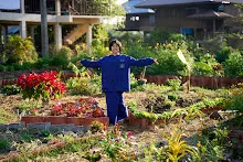 680117 สมุนพระรามปรับปรุงสวน ทาสีเสาป้ายสวนครอบครัวน่ารัก 23.jpg