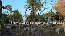 สื่อธรรมะพ่อครู(สมาธิพุทธ) ตอน การสะกดจิต.mp4