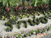 DSC00902.JPG